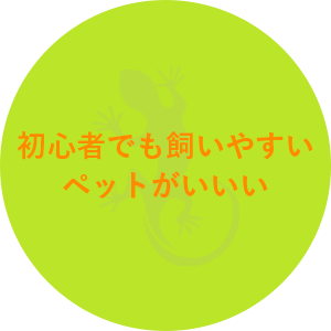 初心者でも飼いやすいペットがいいい